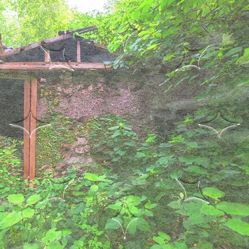 TYLER LUKE - SHELTER + GLOAMING